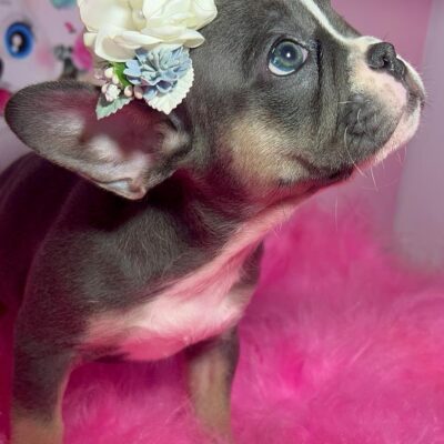 51bfc5a8-4e90-4953-86c4-16658027bcb5