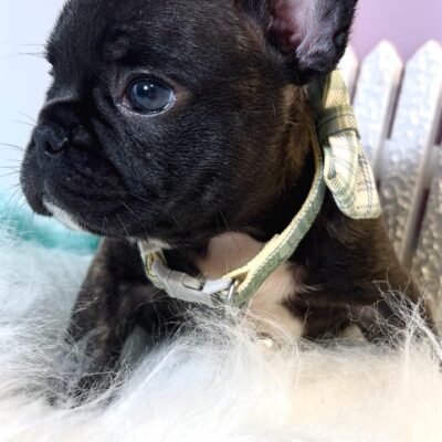 98c18b45-079f-4c90-84c3-9f311f0e5a33