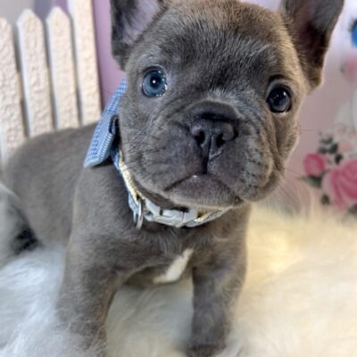 a090504b-3619-415c-a6e5-8310a18a0bd5